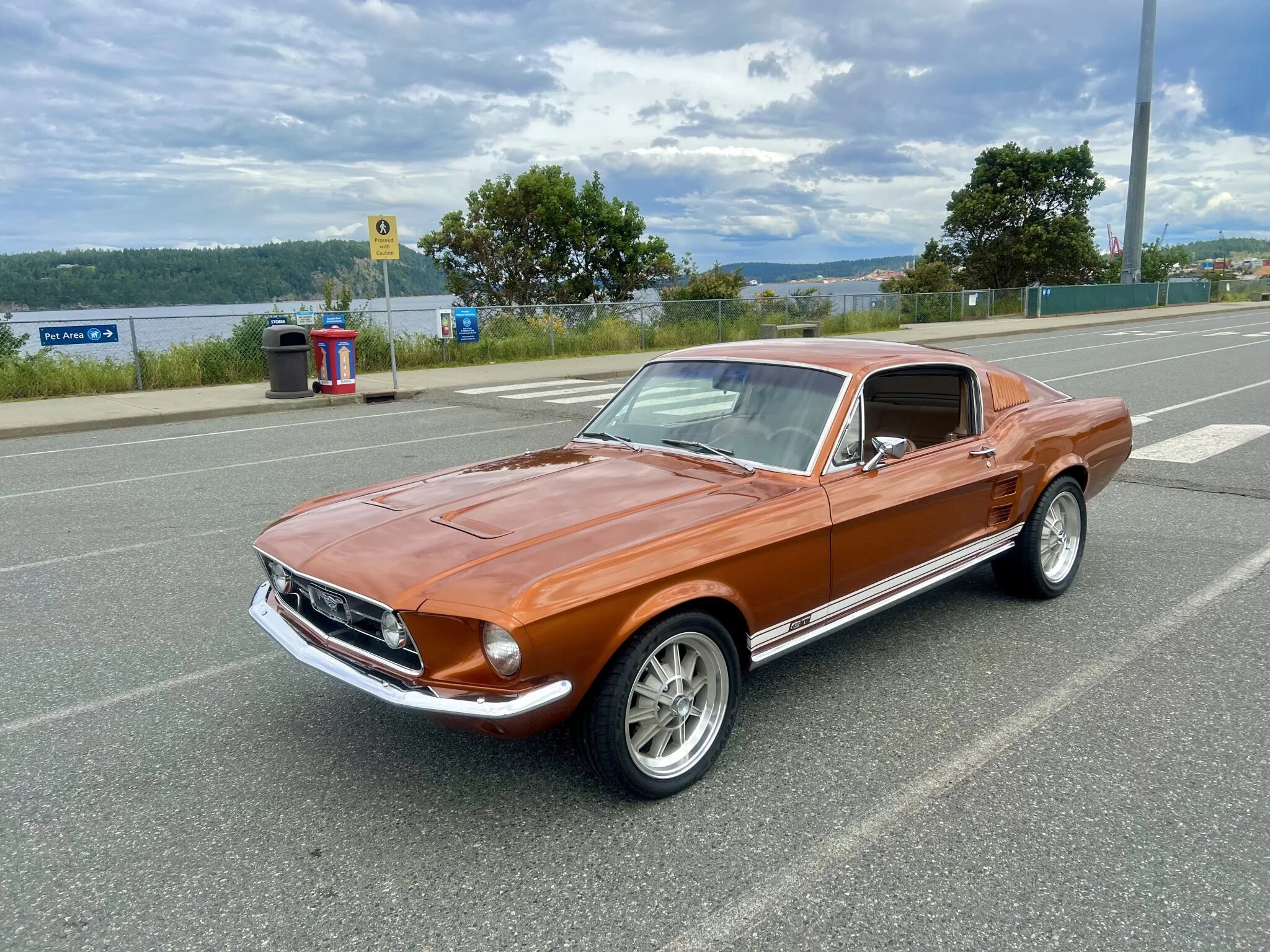 Ford Mustang Fastback Gt Ci V Muscle Vintage Cars